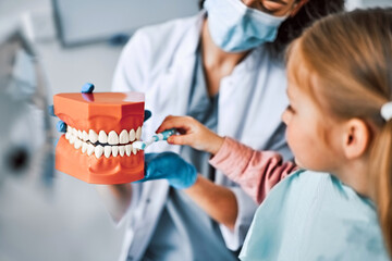  Children's dentistry. Cropped image of a nurse holding a mockup of a jaw with teeth and a child...