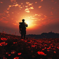 Remembering their service: Soldier Silhouette Standing and Saluting in a field of poppies. Remembrance Day concept