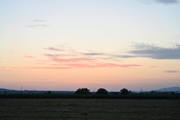 Obraz premium sunset in the field