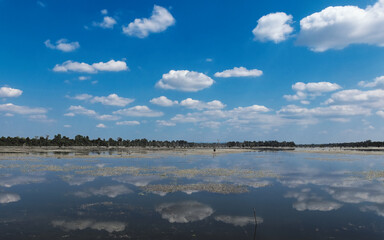 Photograph depicting white fluffy clouds mirrored on the serene surface of a Cambodian pond during...