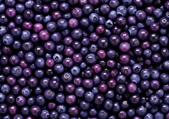 Professional photography of Pattern of Huckleberries fruits. Gen
