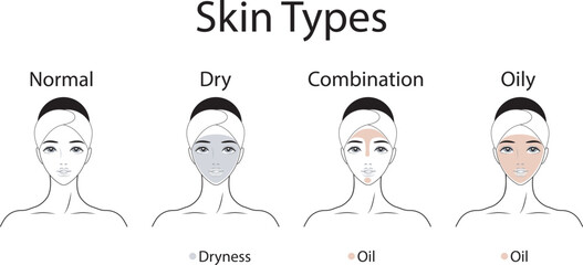 Skin types. Normal, Dry, Combination, Oily - obrazy, fototapety, plakaty