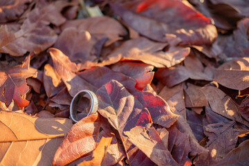 Wedding ring photo shoot concept with sun light and dry leaf background. The photo is suitable to use for wedding invitation photo background and wedding content media.