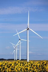 Groupe d'éoliennes sur un champ de tournesols