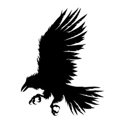 crow silhouette