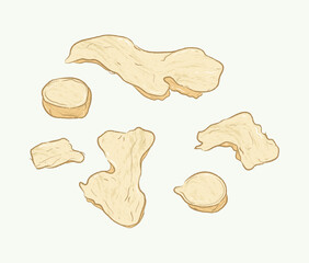 Sliced ginger root in ingredients illustration