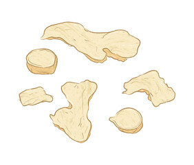 Sliced ginger root in ingredients illustration