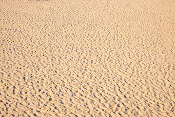 Fototapeta na wymiar dry deserted ground with rippled sand