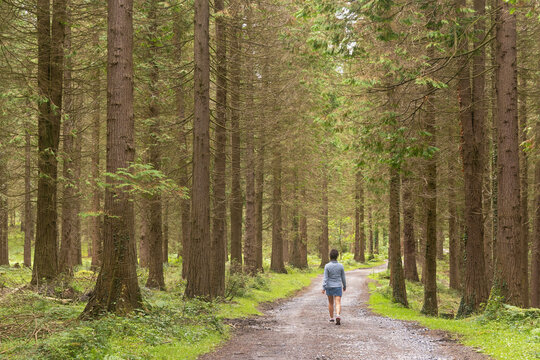 Hiker woman walking through a fantastic forest. Gorbeia Natural Park