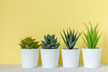 Indoor artificial plants, various succulents in pots. Succulents in white mini-pots. Ideas for home decoration.Copy space.