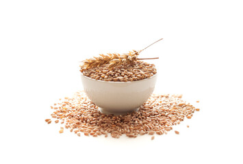 Heap of Wheat grains in a bowl with few whole wheat ears at bright light isolated on white background. Spelt Wheat for the cereal grains concept. Gluten component for bread produce in food industry. - 623177231