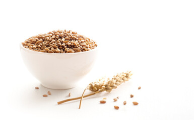Heap of Wheat grains in a bowl with few whole wheat ears at bright light isolated on white background. Spelt Wheat for the cereal grains concept. Gluten component for bread produce in food industry.