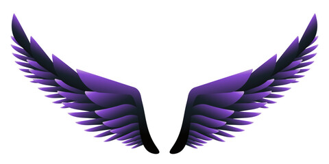 Purple angel wings isolated