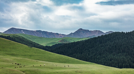 Fototapeta premium landscape with mountains and sky
