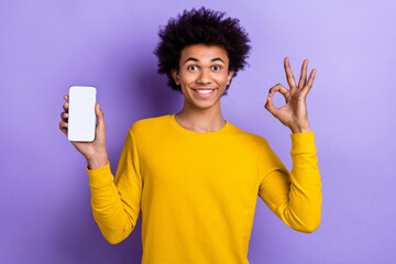 Photo advertisement original design smartphone qr code promo young guy hold gadget showing okey symbol isolated on purple color background
