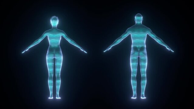 Rotating holograms of male and female body, both bodies glow with blue light spinning in loopable animation, compositing element for futuristic medical videos.