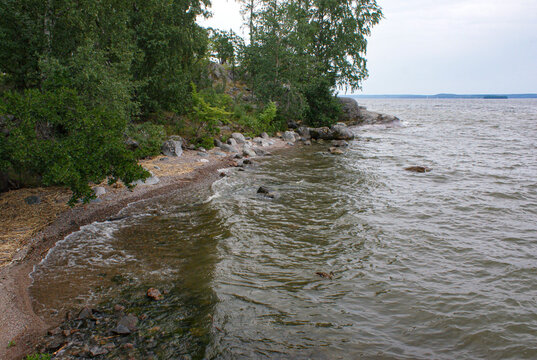river in the forest