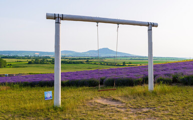 Fototapeta na wymiar lavender, lavandin, lavender farm, Starovičky, South Moravia, purple, field, levandule