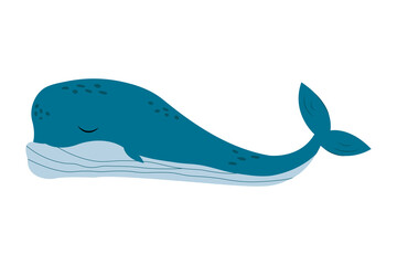 Blue whale hand drawn. Vector illustration isolated on white background