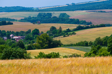 Fototapeta na wymiar Landscape, fielsd, summer, landscape, summer, field, sun, grain, hay, straw,