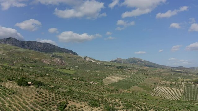 Aerial view of fields in Sciacca Agrigento Sicily Italy