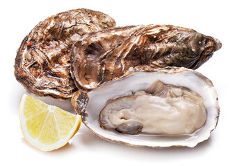 Oysters with lemon slice isolated on white background.