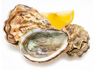 Raw oysters with lemon slice isolated on white background.