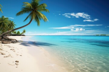 Fototapeta na wymiar Tropical beach with coconut palm trees and blue sky background.