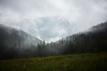 Fototapeta premium Carpathians, mountains in the fog, landscape of summer landscapes