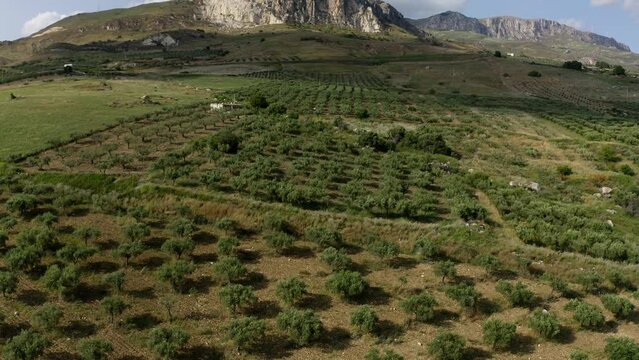 Aerial view of fields in Sciacca Agrigento Sicily Italy