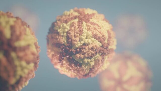 Zika virus biological assembly. Animation of virus that causes zika disease. 
