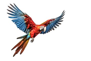 A Scarlet macaw parrot flying isolated on white background. Generate Ai - obrazy, fototapety, plakaty