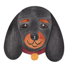 The face or head of a dachshund. Muzzle of funny animal isolated on white background. Watercolor illustration in cartoon style