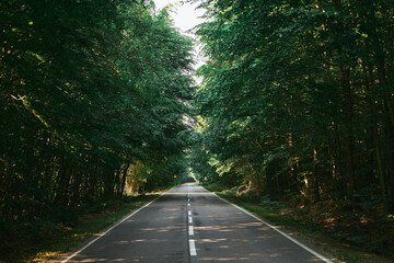Landscape with empty asphalt road through woods in summer. Beautiful rural asphalt road scenery. Beautiful roadway. Trees with green foliage and sunny sky.