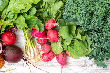 Closeup of freshly harvested organic garden vegetables - 623212675