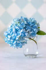 Beautiful hydrangea flowers in a vase