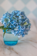 Beautiful hydrangea flowers in a blue vase
