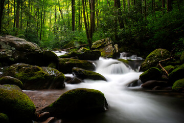 Fototapeta premium Waterfalls in the Great Smoky Mountains