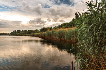 Cloudy sky over the lake. Lake and trees on the shore with reeds. A picturesque landscape on a beautiful lake with a reflection in the water with green grass in the foreground.