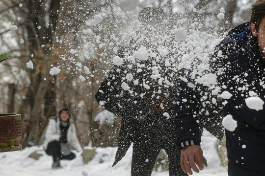 People are playing in the snow on the hiking trail of Tochal Peak.
they are playing snowfight .