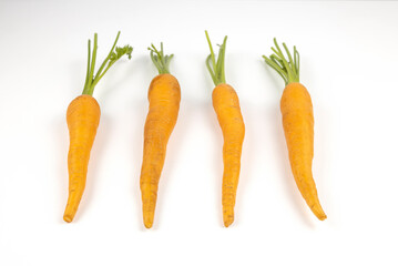 Bright carrots are isolated on a white background. Front view.