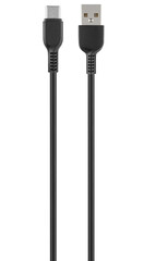 cord with USB and Type-C connector