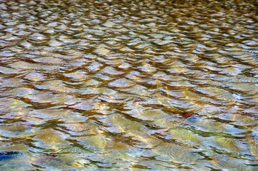 Schillerndes Wasser auf La Palma