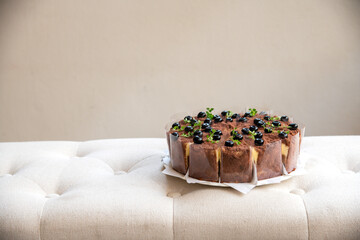 cheese cakes coated with cocoa power toppped with fresh Bluberry on white sofa with wooden background