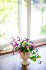 A Group of magenta flower in white Jar on wooden table in glass garden background