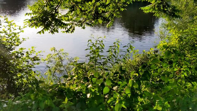 Sunset reflection and glistening small waves. Evening light atmosphere
