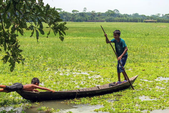 Kids riding boat in rice farm Bangladeshi childhood hi-res stock photography and images 