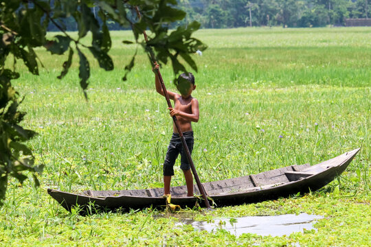 Kids riding boat in rice farm Bangladeshi childhood hi-res stock photography and images 