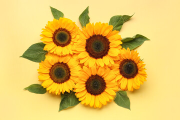 Beautiful sunflowers and leaves on yellow background