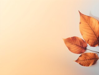 Die Pracht der Jahreszeiten: Ein Hintergrund mit bunten Herbstblättern